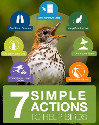 Seven Simple Actions